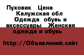 Пуховик › Цена ­ 1 200 - Калужская обл. Одежда, обувь и аксессуары » Женская одежда и обувь   